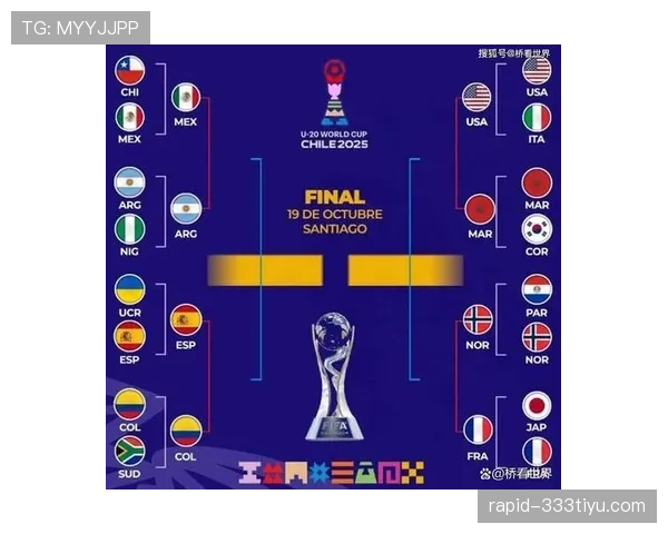 世界杯美国队D组赛事焦点解析